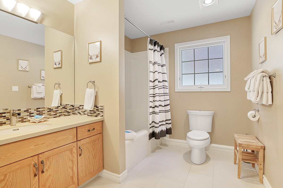 Lower level full bathroom