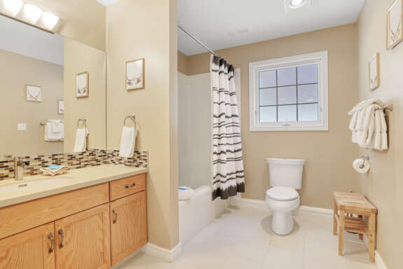 Lower level full bathroom