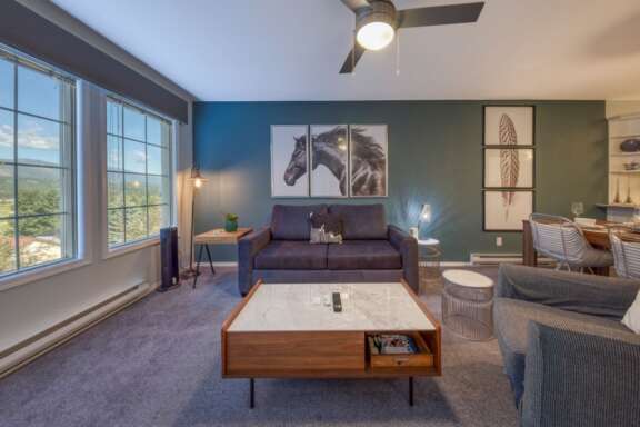 Living room with comfy hide-a-bed