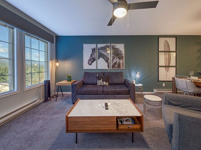 Living room with comfy hide-a-bed