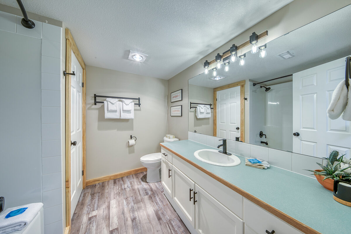 Lower level full bathroom