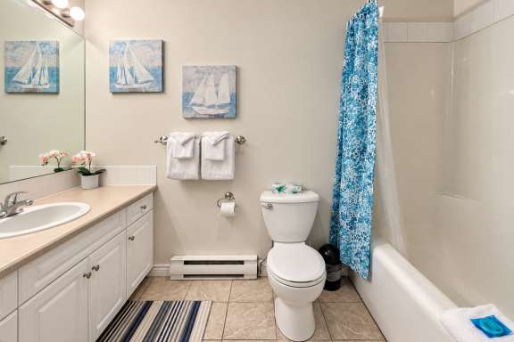 Full bathroom at Little Falls Landing with vanity, toilet and shower-over-tub combination