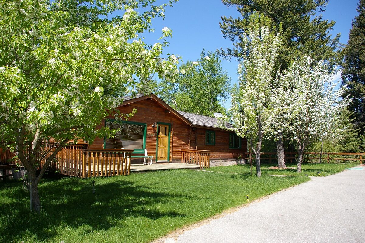 Quaint wood cabin surrounded by greenery and trees.