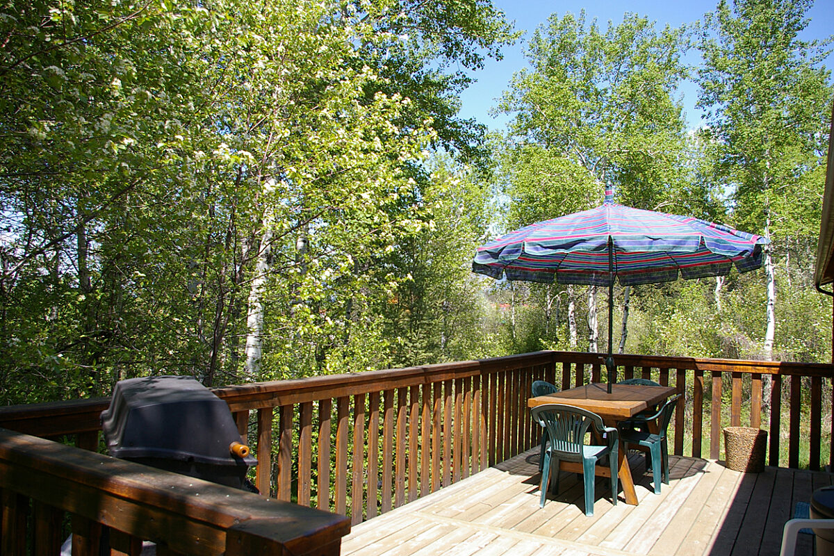 Patio space surrounded by greenery and trees. Barbecue on deck, patio furniture and umbrella.