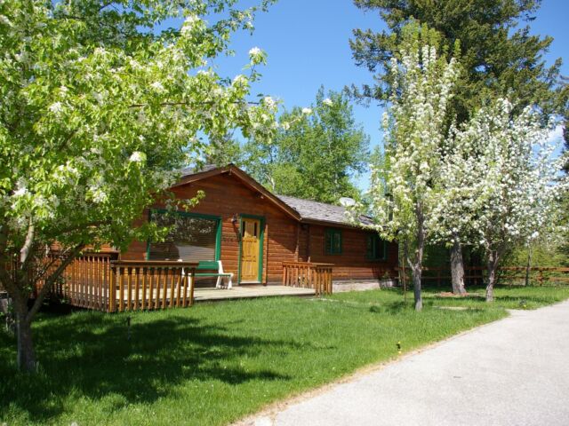 Quaint wood cabin surrounded by greenery and trees.