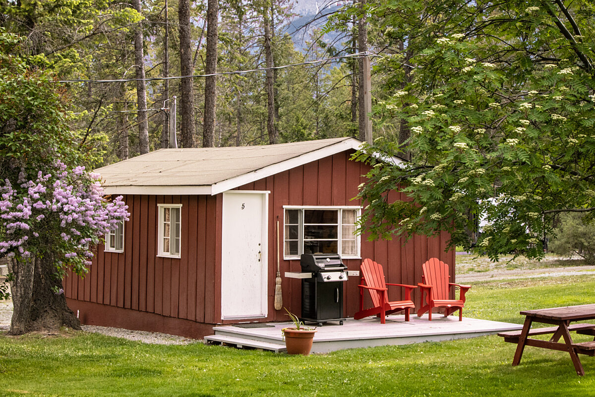 Outdoor living space with two red chairs, lilac bushes, and greenery.