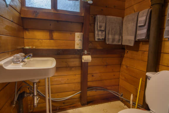 Bathroom with sink and toilet in wood panelled cabin