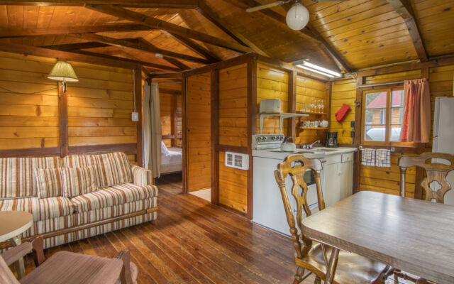 Outdoor living space with two red chairs, lilac bushes, and greenery.