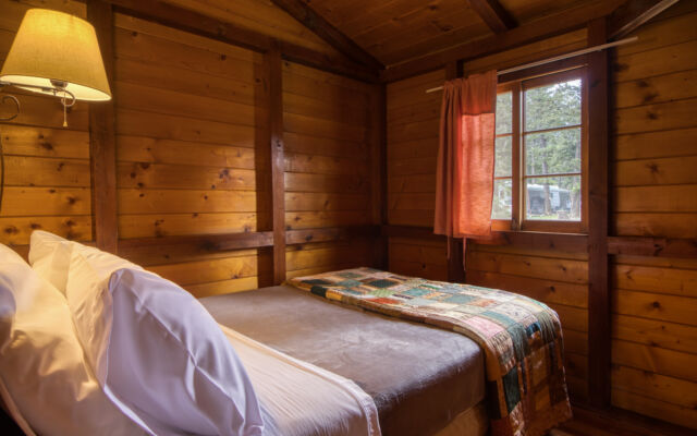 Outdoor living space with two red chairs, lilac bushes, and greenery.