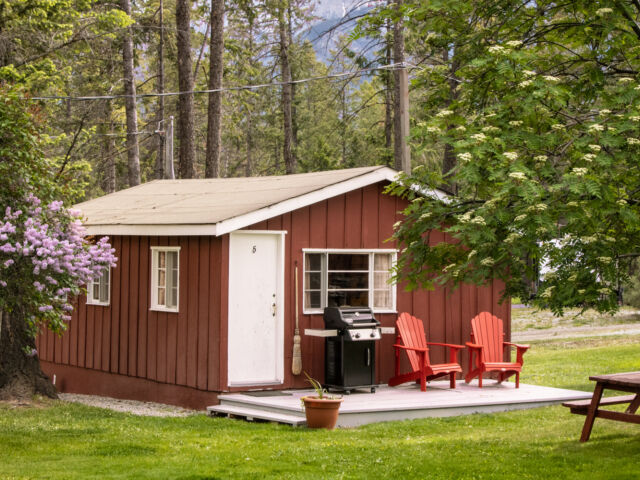 Outdoor living space with two red chairs, lilac bushes, and greenery.