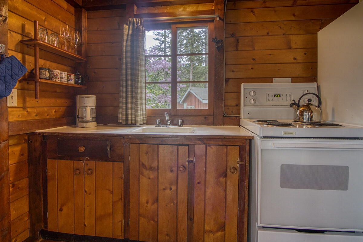 Wood panelled cabin kitchen with oven, counter space, shelf, and window.