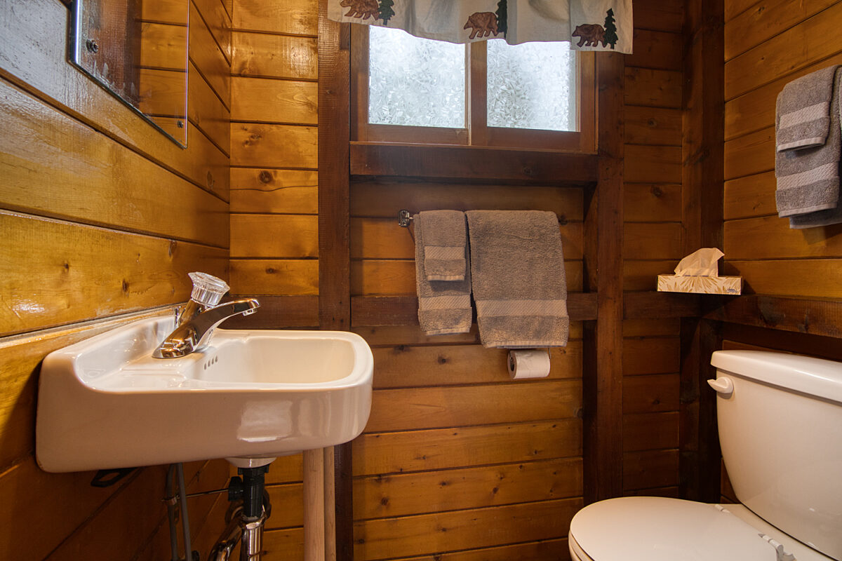 Bathroom with sink and toilet in wood panelled room