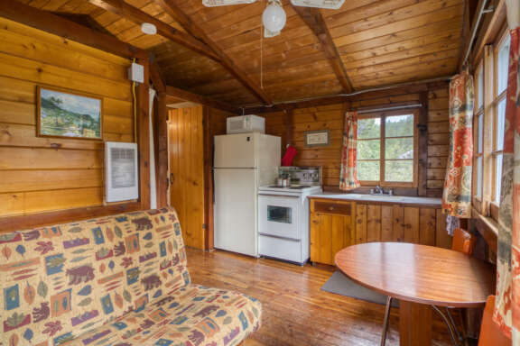 Living space with couch to the left, dining table to the right, and kitchen in the distance.