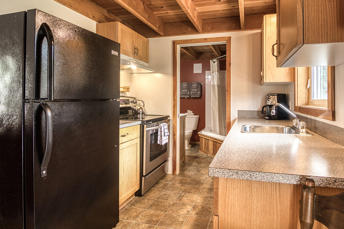 Kitchen area with black fridge to the right, kitchen countertop to the left, and appliances.