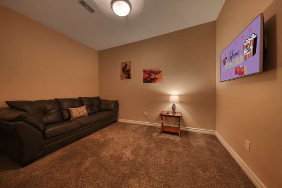 Den with TV