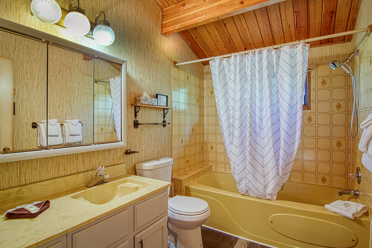 Retro style bathroom with shower and bath, vanity, toliet