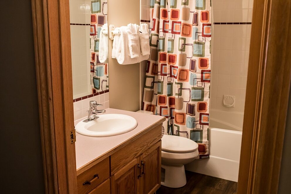Bathroom with vanity, shower, toilet, and patterned shower curtain.