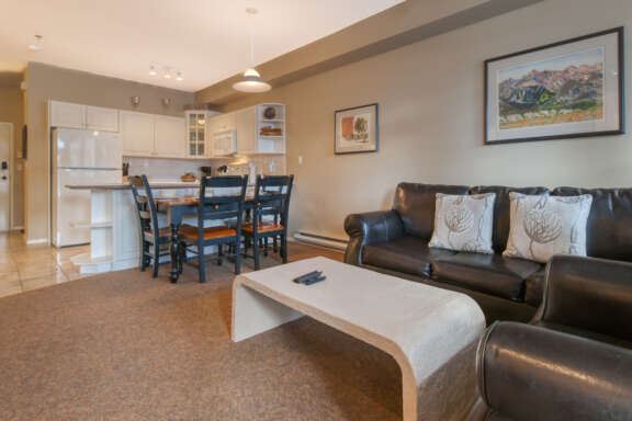 Mountain Rook - Living Room