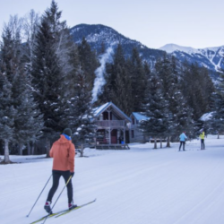 Nipika nordic KRT Kari Medig