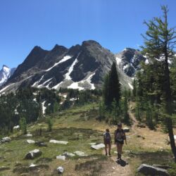 Hiking in the mountains on a summer day