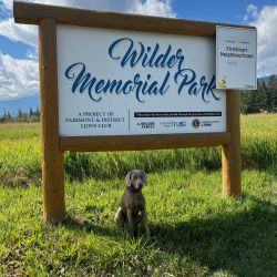 Wilder Memorial Park