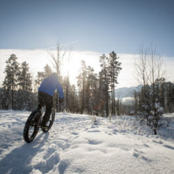 Heath fernie 9250