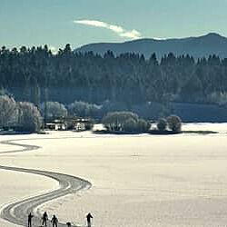 Whiteway For Guestfolio