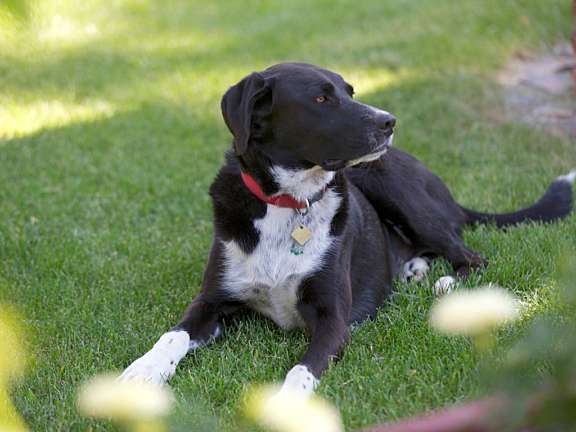 Marble Canyon Lifestyle Full Trmc 17