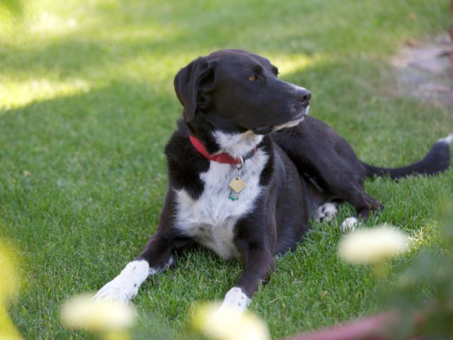 Marble Canyon Lifestyle Full Trmc 17