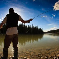Fishing Summer
