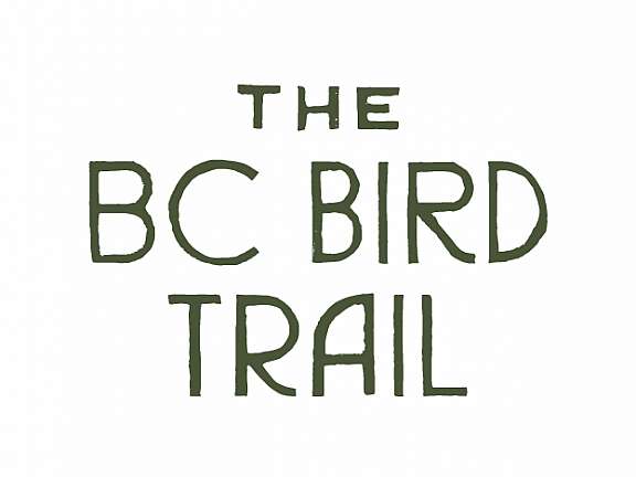 BC Bird Trail