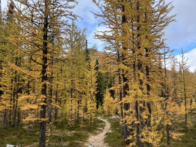 Fall hike