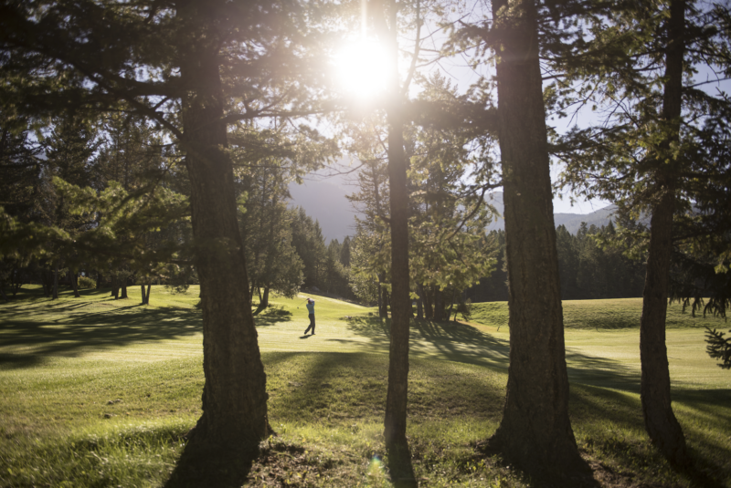 Golfing a treed course at sunset