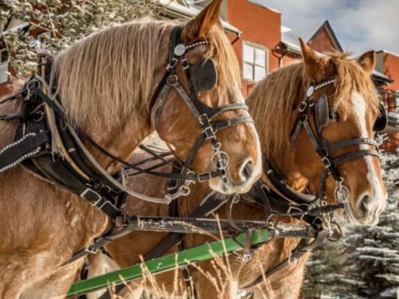 Screen Shot 2023 10 10 at 5 29 08 PM