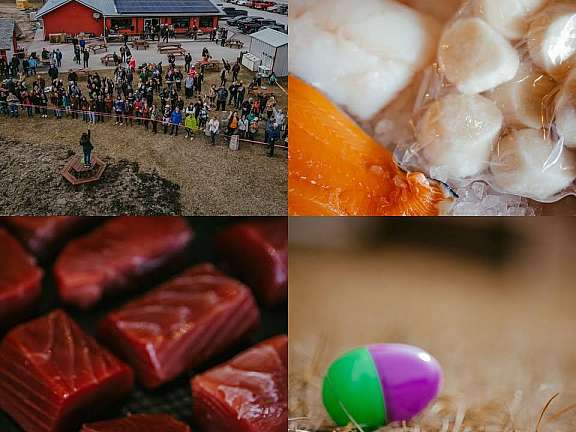 502555689 1266417972160755 1348228056079047906 n