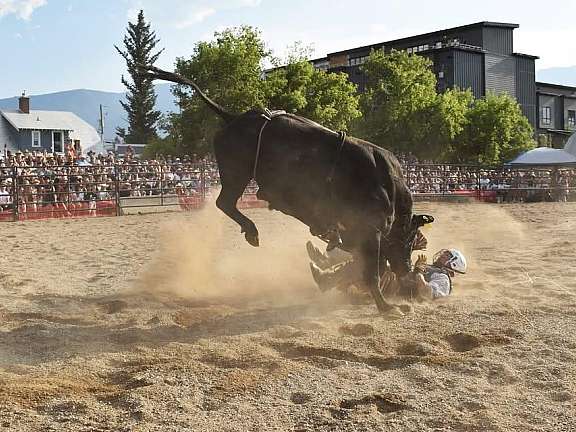 Bull riding in the rockies