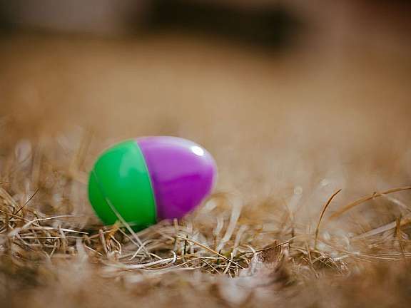 Kids Easter Egg Hunt 2026