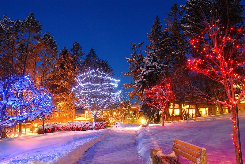 A snowy path is lit with Christmas lights decorated along the trees.