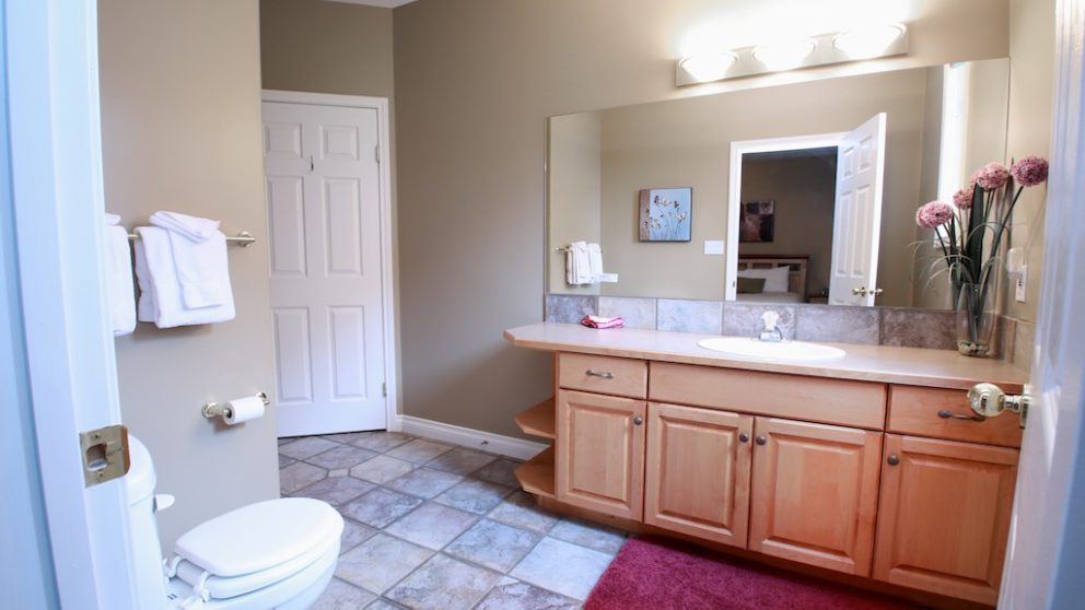 Bathroom with vanity, toilet, and closet
