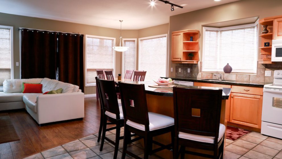 Open concept kitchen and living space with island, kitchen appliances, couches, and dining table and chairs.