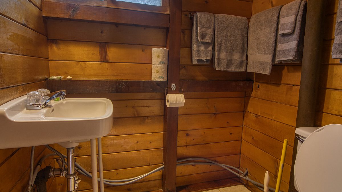 Bathroom with sink and toilet in wood panelled cabin