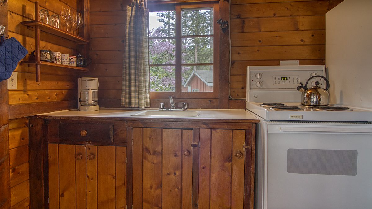 Wood panelled cabin kitchen with oven, counter space, shelf, and window.