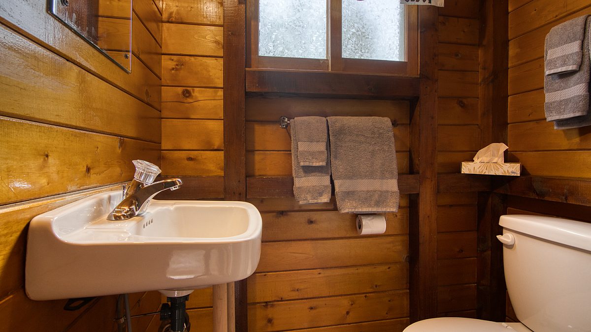 Bathroom with sink and toilet in wood panelled room
